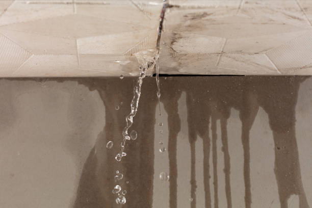 Professional Burst Pipe Cleanup technician working in Linden, MI